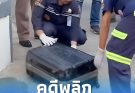 คดีพลิก ที่แท้ซากสัตว์ในกระเป๋าไม่ใช่หมา พร้อมสาเหตุเอามาทิ้ง